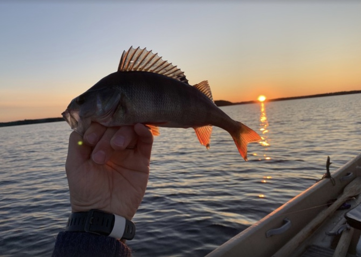Suvasveden suojeluyhdistys